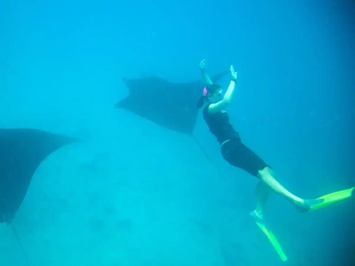 White Sandy Beach-Best Manta Snorkeling Tethi Eksteriør billede