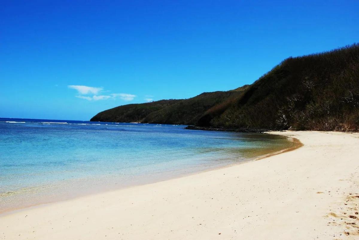 White Sandy Beach-Best Manta Snorkeling Tethi Eksteriør billede